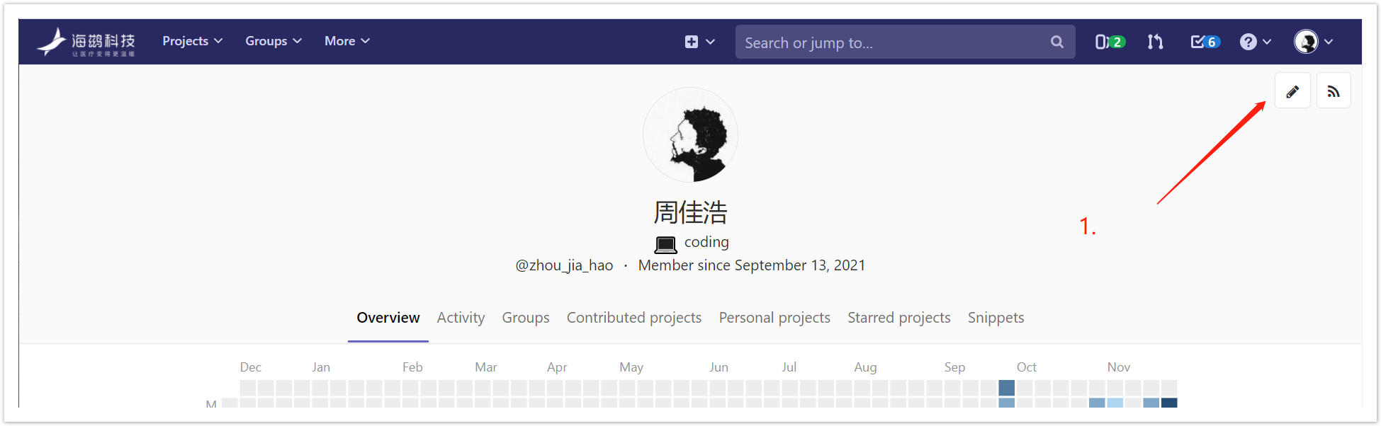进入 gitlab 个人主页 点击侧栏 Access Tokens 填写名称、勾选范围、点击生成即可